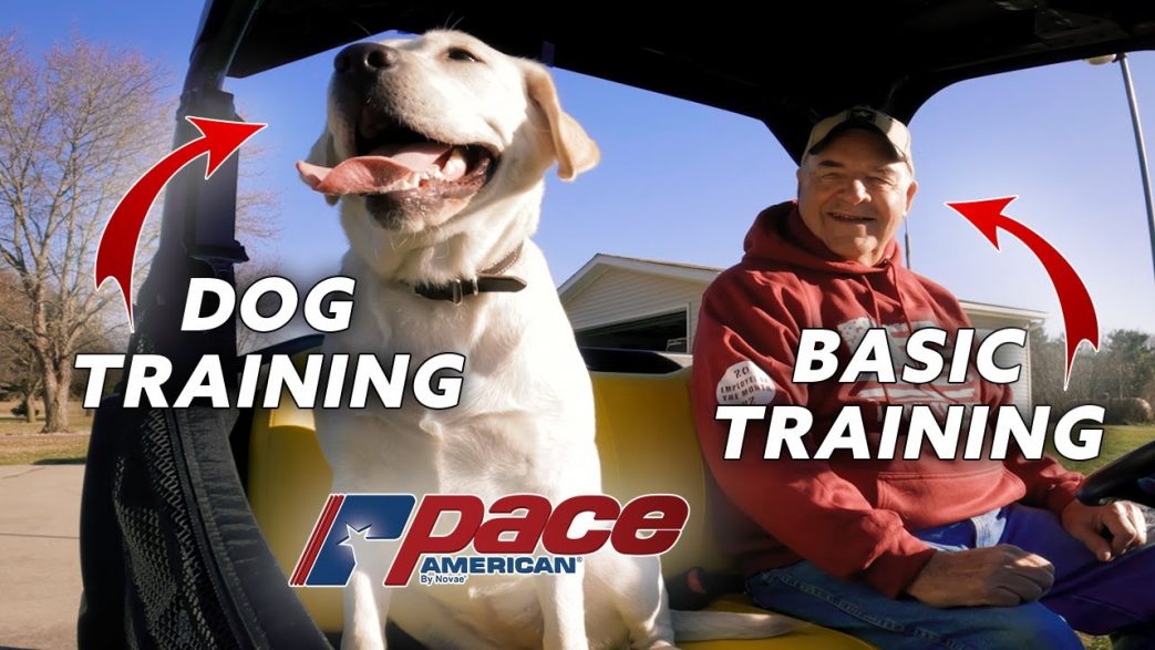 Pace American | Blog Post | Veteran Support Dog - Pace | Pace The Dog Featured Image